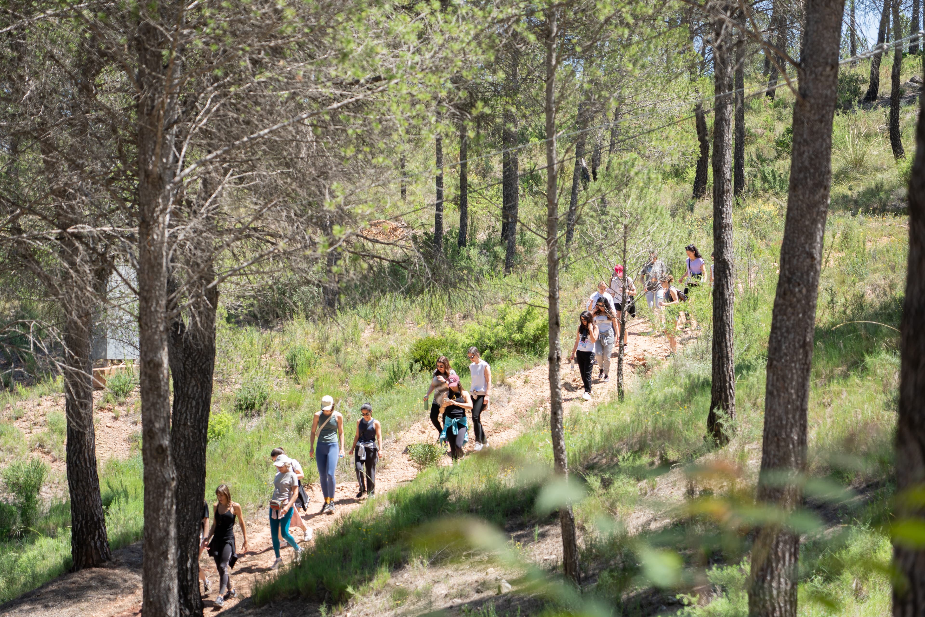 Senderismo y Nordic Walking